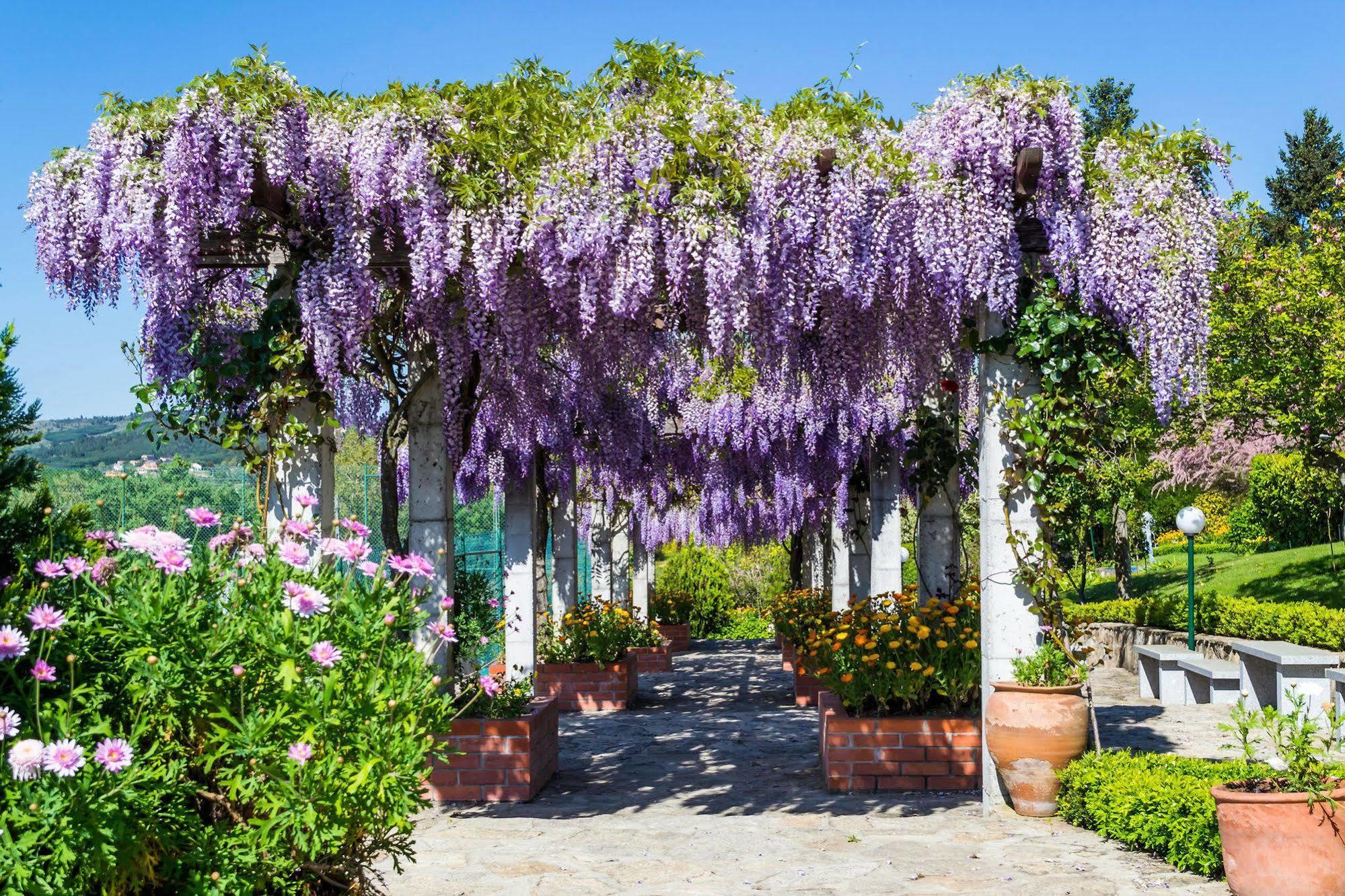 Hotel Belsol Belmonte  Εξωτερικό φωτογραφία